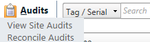 http://www.tipwebhelp.com/tipwebithelp/audits_view-reconcile_dropdown.jpg